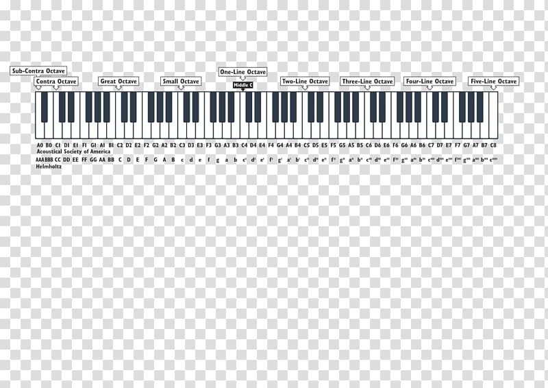 Musical note Scientific pitch notation Octave Human voice, Designation transparent background PNG clipart