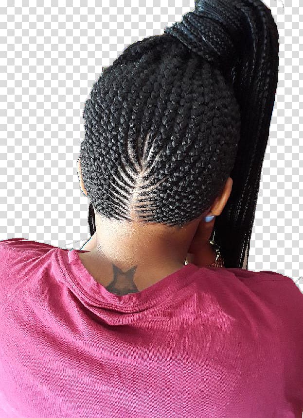 Box braids Cornrows Hair twists Crochet braids, hair transparent background PNG clipart