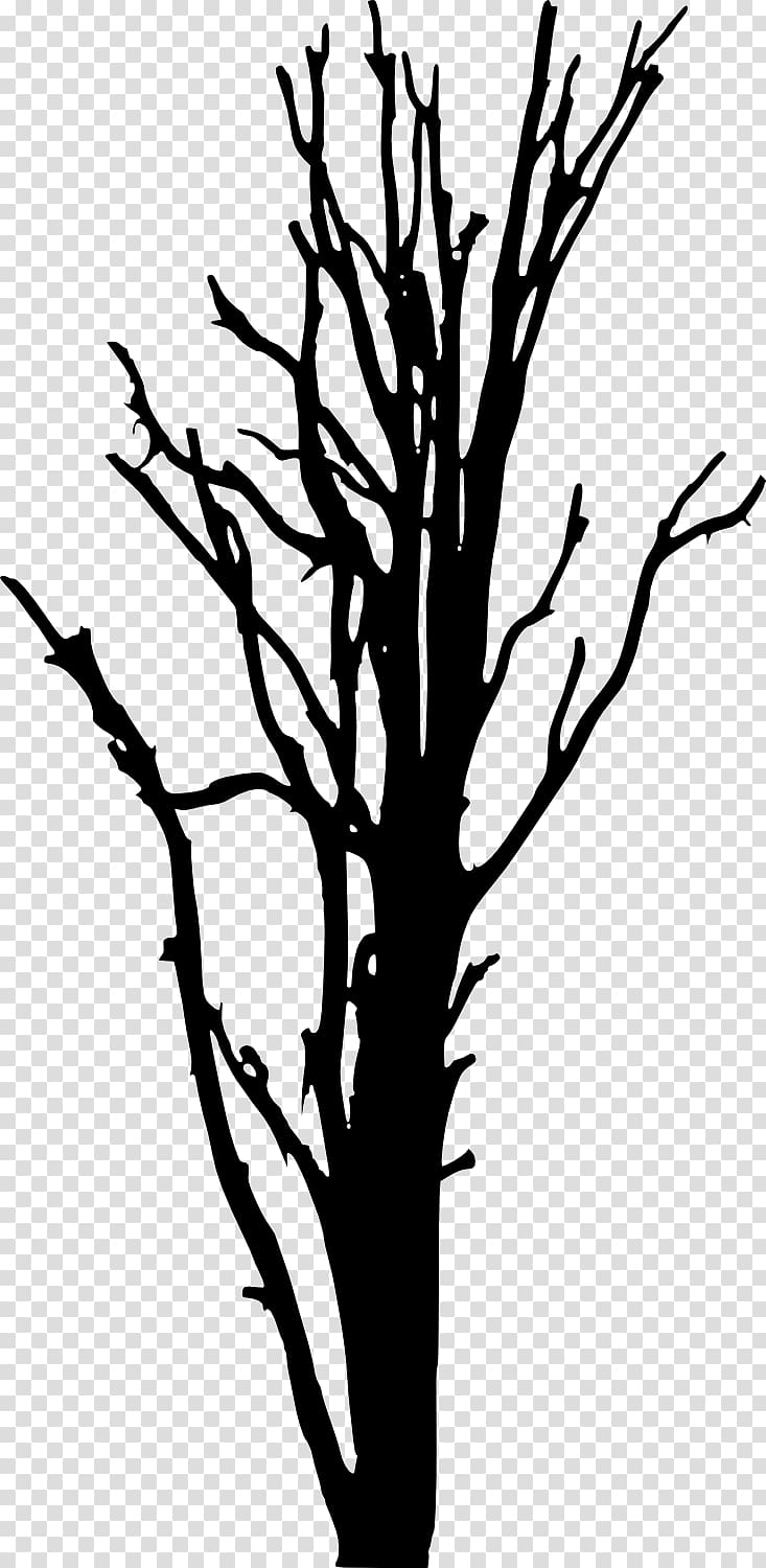 Woody plant Tree Silhouette , dead tree transparent background PNG clipart