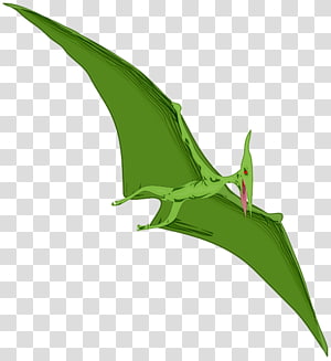 Pterodactyl transparent background PNG cliparts free download