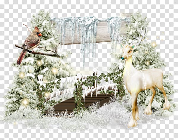 Winter Snow Formosan sika deer Blog, Snow bird cartoon deer transparent background PNG clipart