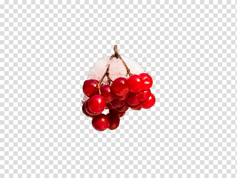 Cranberry Cherry Body piercing jewellery Auglis, Snow berry transparent background PNG clipart