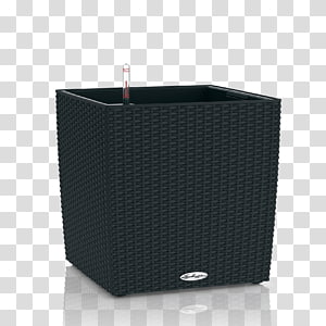 Lechuza Balconera Cottage Complete Kit Lechuza Cube Cottage 50 Balcony Lechuza Flowerpot Cube Color 16, rattan plant transparent background PNG clipart thumbnail