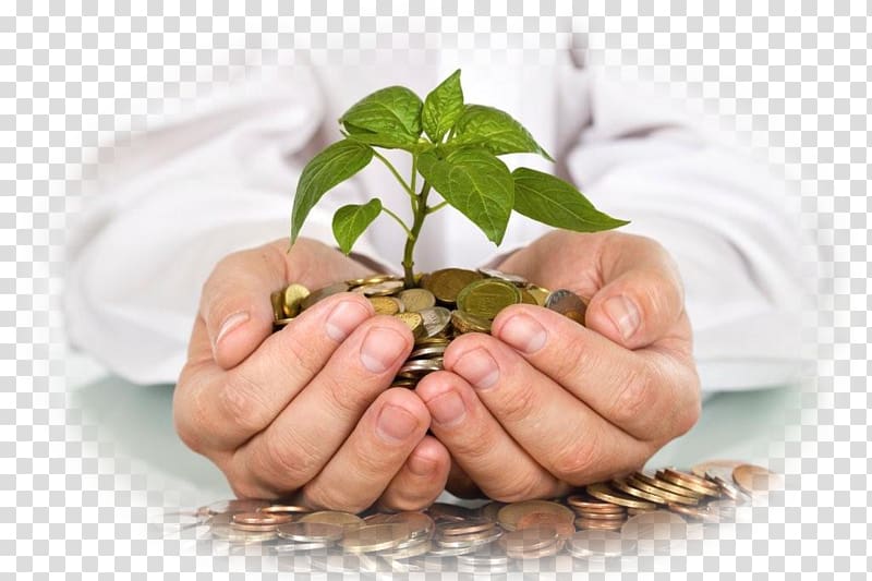 Invest Local: A Guide to Superior Investment Returns in Your Own Community Money Sadaqah Tax, invest investment transparent background PNG clipart