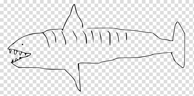 Requiem shark Drawing Tiger shark , tiger creative transparent background PNG clipart