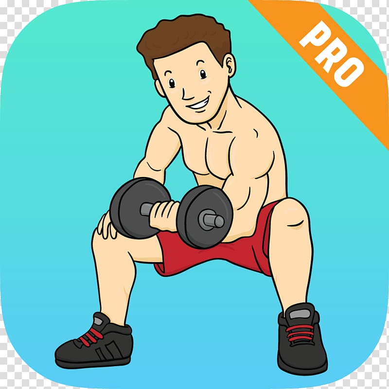 Biceps curl Weight training Muscle , dumbbell transparent background PNG clipart
