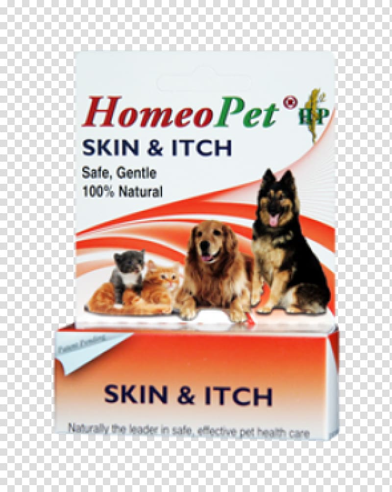 Itch Dog Cat Severe anxiety Pyotraumatic dermatitis, Dog transparent background PNG clipart