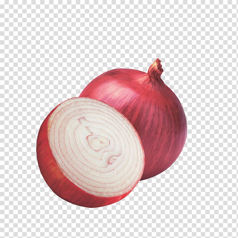 Onion Beijing Xinfadi Market Food Vegetable Nutrition, onion transparent background PNG clipart