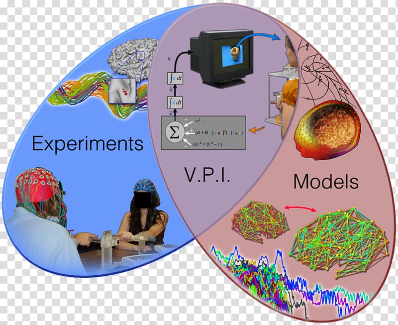 Cognition Research Neuroscience Behavior Experiment, science transparent background PNG clipart