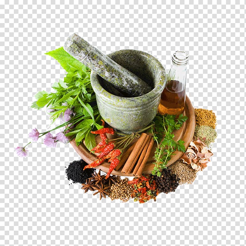 grey mortar and pestle, Herbalism Therapy Herbal tonic Medicine, spice transparent background PNG clipart