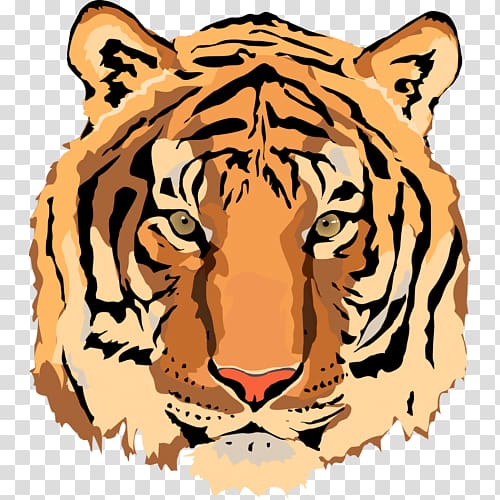 Tiger , tiger transparent background PNG clipart | HiClipart