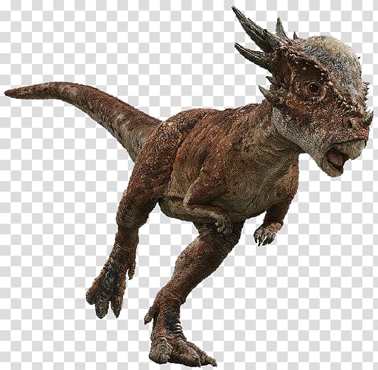 Stygimoloch Tyrannosaurus Universal Baryonyx Dracorex, dinosaur transparent background PNG clipart