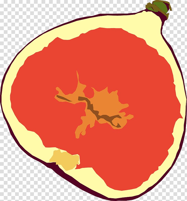 Mission fig Drawing Fruit tree , tree transparent background PNG clipart