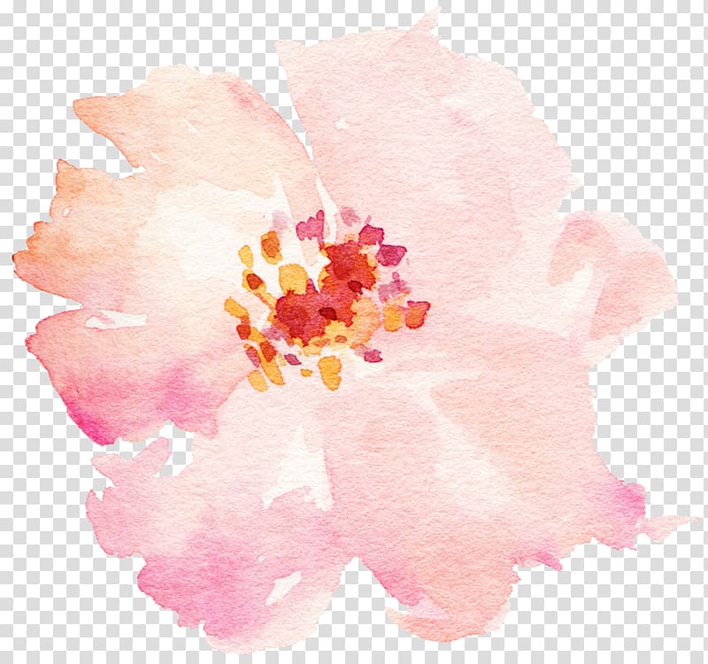 watercolor flowers pale pink transparent background PNG clipart