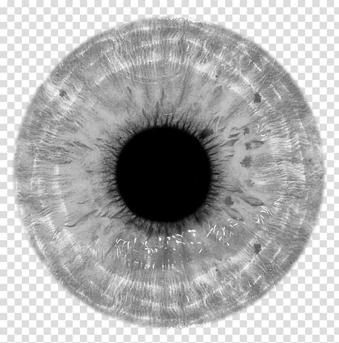 Human eye Contact Lenses Iris, Eye transparent background PNG clipart