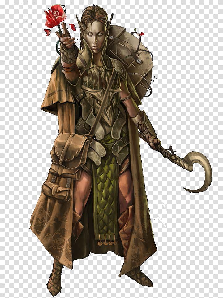 Druid Pathfinder Roleplaying Game d20 System Dungeons & Dragons Elf, Elf Ranger transparent background PNG clipart
