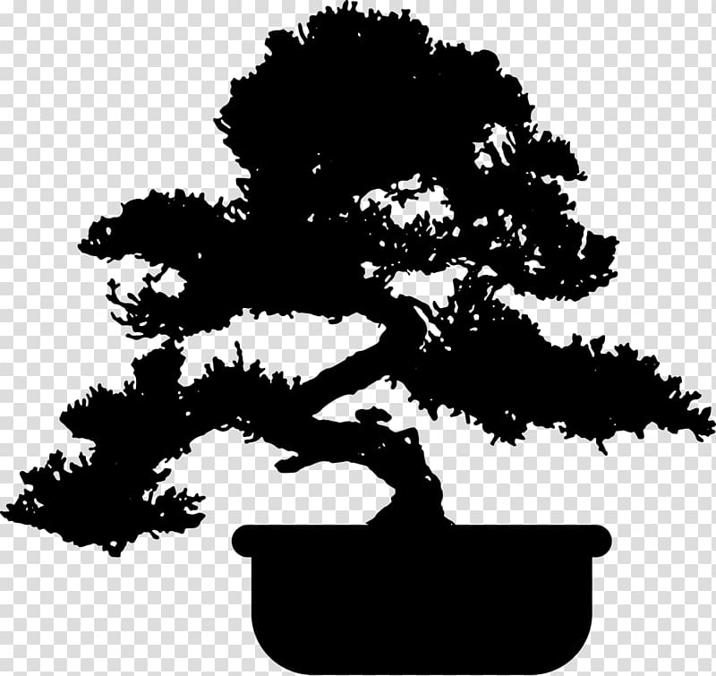 45 Tree Silhouettes PNG Transparent Background