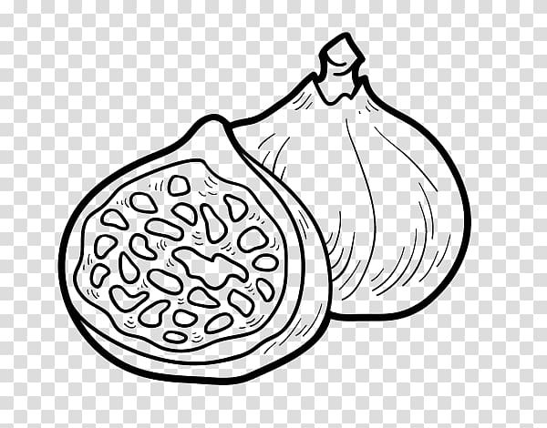 Drawing Coloring book Common fig Food, others transparent background PNG clipart
