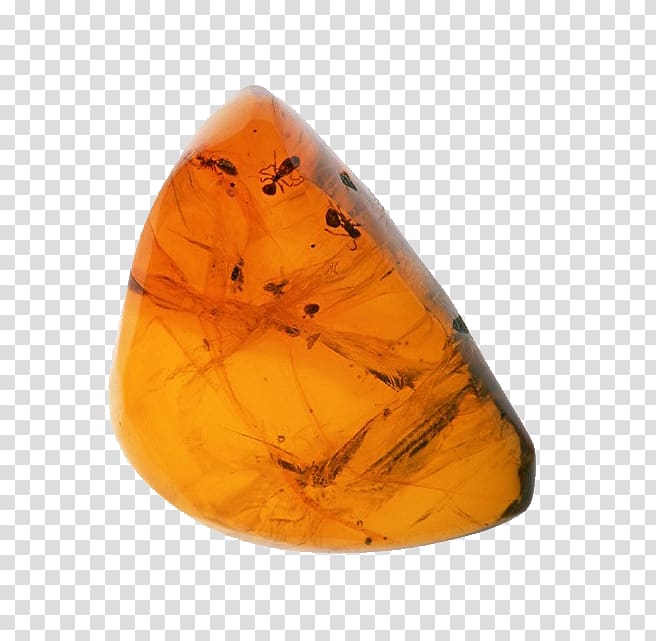 Amber Tomakomai Komazawa University Fossil Rock Rosin, Yellow stones transparent background PNG clipart