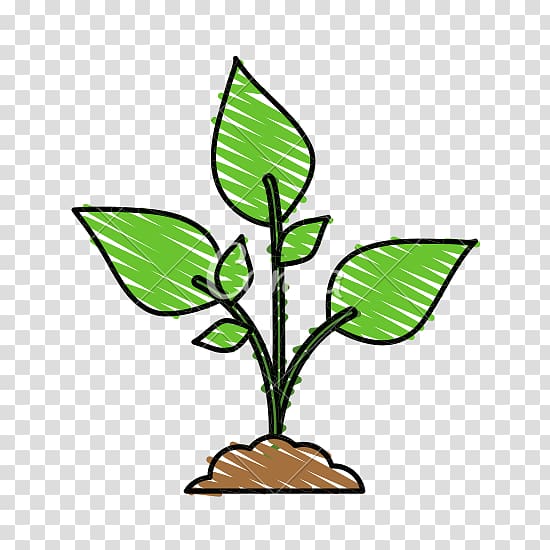 Drawing Color Green , plant transparent background PNG clipart