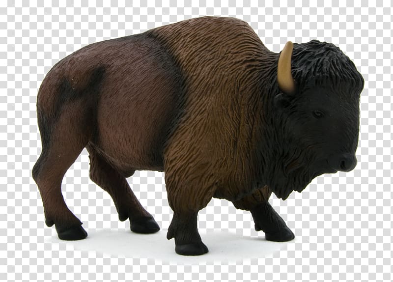 American bison African buffalo Deer White buffalo United States, boson transparent background PNG clipart