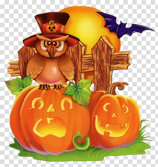 Halloween Pumpkin Thanksgiving , Halloween Owl transparent background PNG clipart