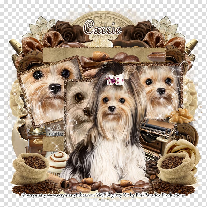 Yorkshire Terrier Morkie Puppy Dog breed Companion dog, puppy transparent background PNG clipart