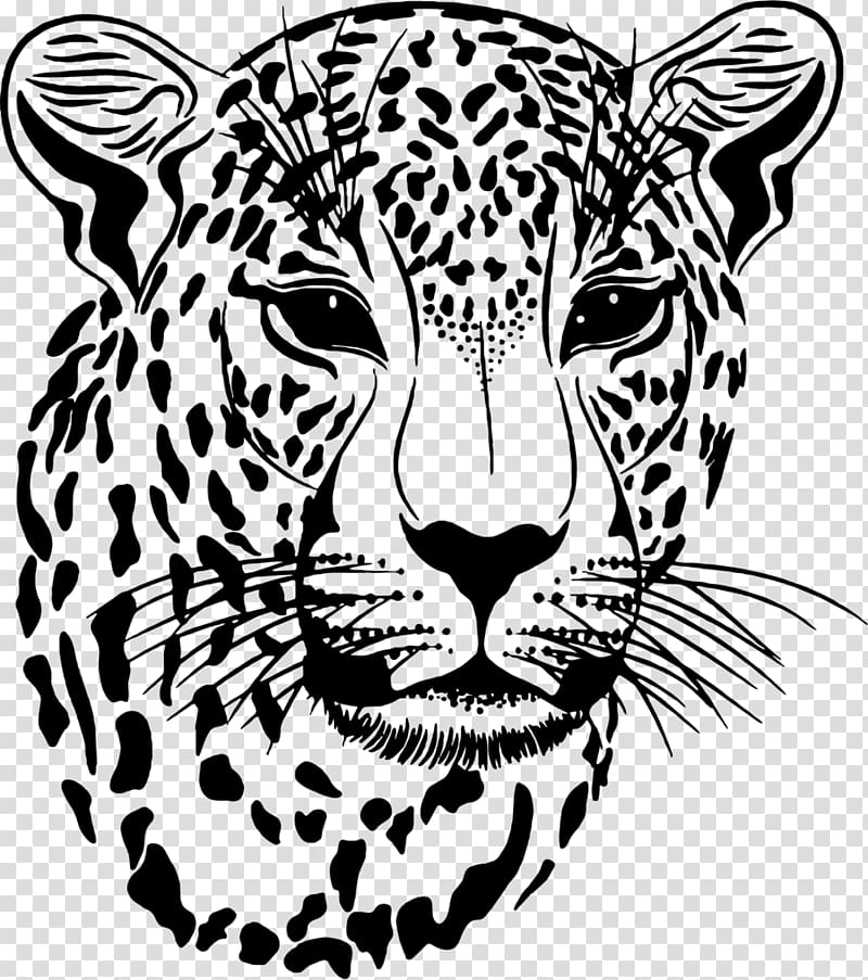 leopard illustration, Clouded leopard Jaguar, TIGER transparent background PNG clipart