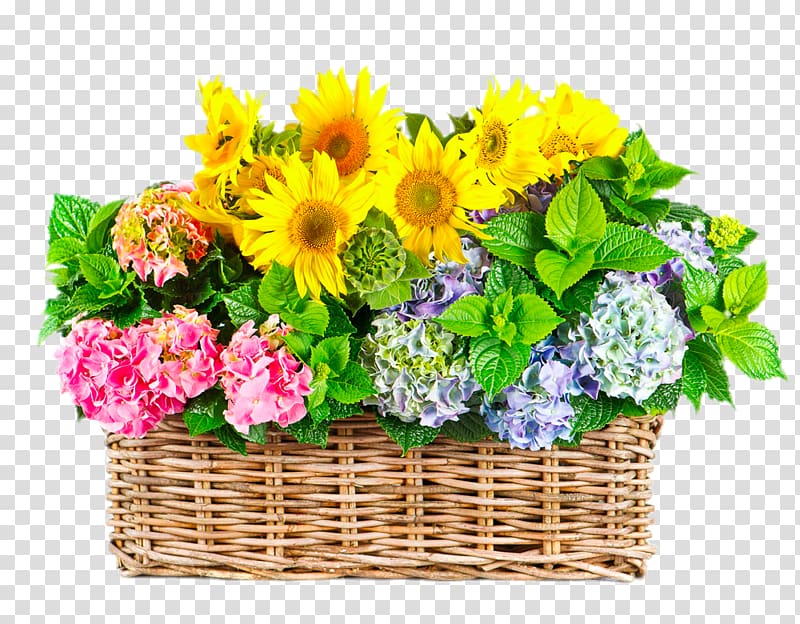 Flower Gratitude Floristry , Gerbera basket transparent background PNG clipart