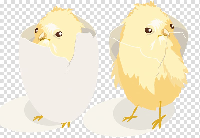 Chicken Collection Euclidean Illustration, Broken shell chick transparent background PNG clipart