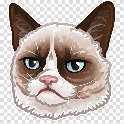 Sticker Telegram Decal Grumpy Cat Doge, others transparent background PNG clipart