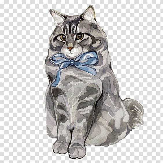 European shorthair American Shorthair Tabby cat Kitten Domestic short-haired cat, The United States short cat transparent background PNG clipart