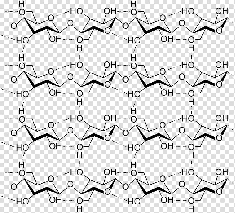 Cellulose Structure Hydrogen bond Carbohydrate Polysaccharide, cellulose transparent background PNG clipart