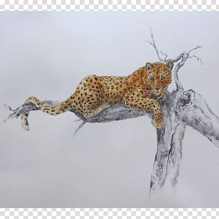 Leopard Cheetah Cat Fauna Terrestrial animal, leopard transparent background PNG clipart