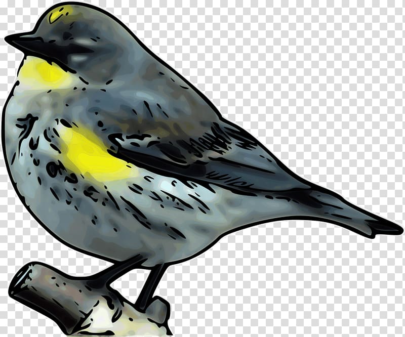 New World warblers Computer Icons Bird Pine warbler, rambo transparent background PNG clipart