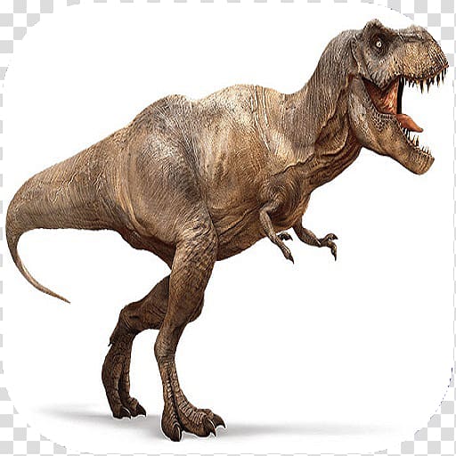 Tyrannosaurus Velociraptor Carnivores: Dinosaur Hunter Late Cretaceous ...