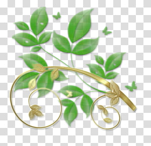 Leaf Desktop , Leaf transparent background PNG clipart thumbnail