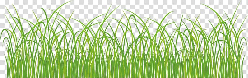 Grassland, Green grass transparent background PNG clipart