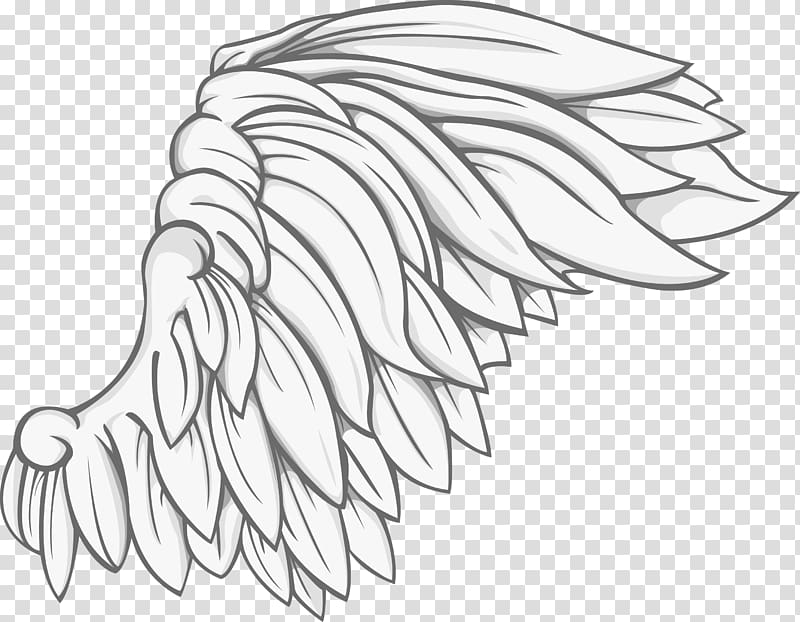 white wing illustration, Drawing Illustration, Wings transparent background PNG clipart
