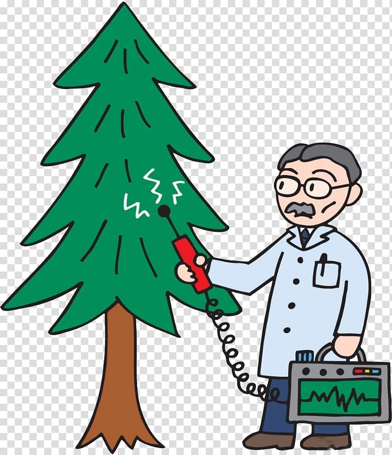 Christmas tree Cartoon Illustration, Christmas tree pick up transparent background PNG clipart