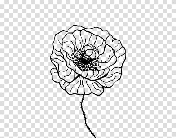 Common poppy Drawing Painting Coloring book, painting transparent background PNG clipart