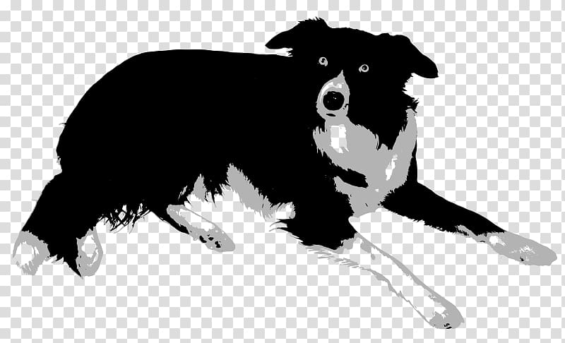 Border Collie Rough Collie Bearded Collie Old English Sheepdog Central Asian Shepherd Dog, bordercollie transparent background PNG clipart