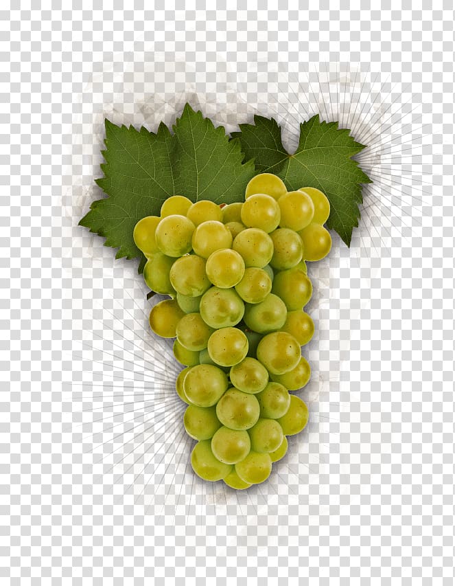 Grape Chardonnay Pinot gris Pinot noir Riesling, green grapes transparent background PNG clipart