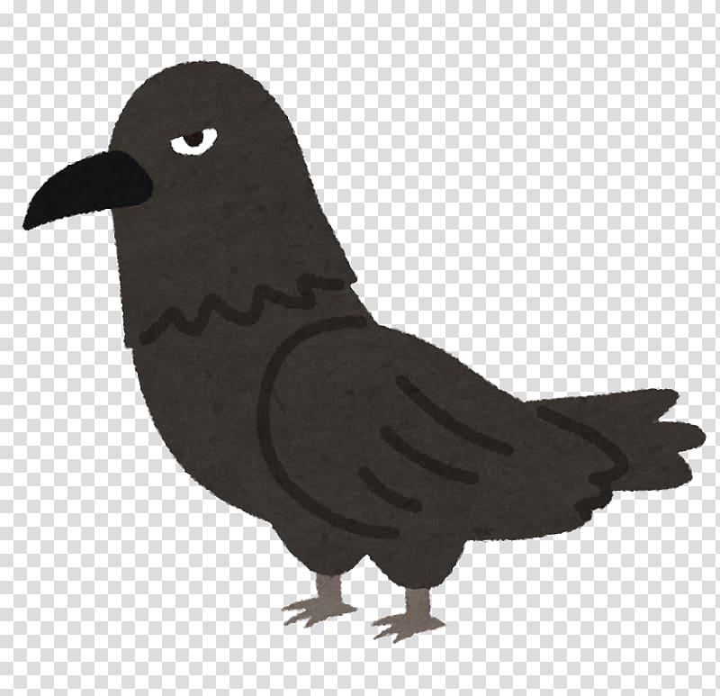 Crow Tokyo Municipal solid waste いらすとや, crow transparent background PNG clipart
