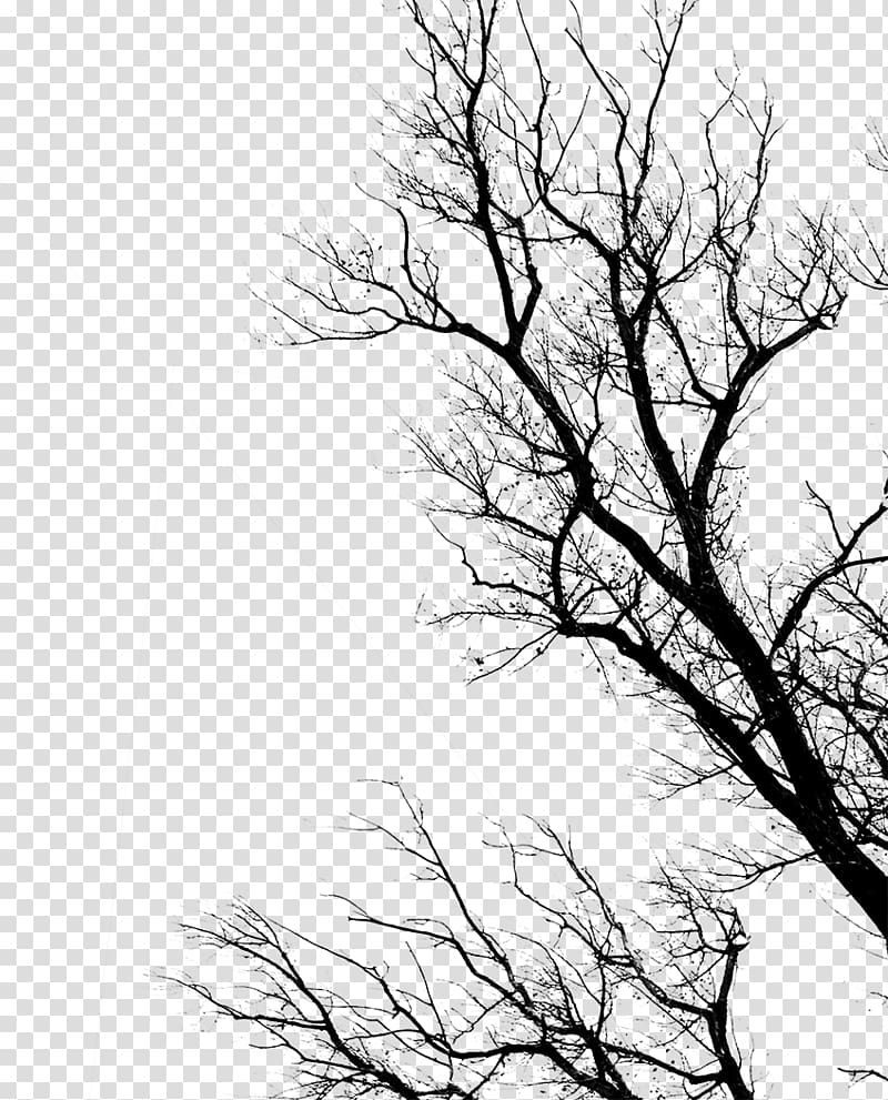 silhouette bare tree, Dead by Daylight YouTube Theme, mud transparent background PNG clipart