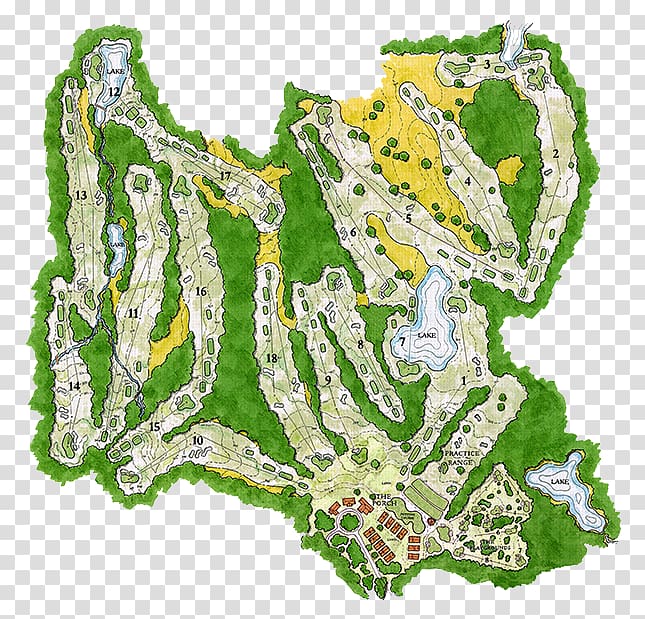 Hero World Challenge Golf course Bluejack National Club & Community Golf stroke mechanics, tiger woods transparent background PNG clipart