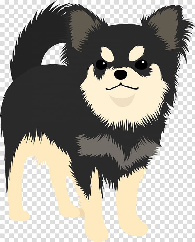 Pomeranian Puppy Chihuahua Dog breed Companion dog, puppy transparent background PNG clipart