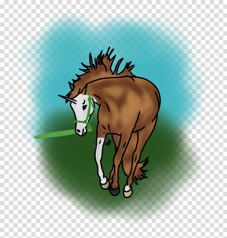 Mane Foal Mustang Stallion Colt, mustang transparent background PNG clipart