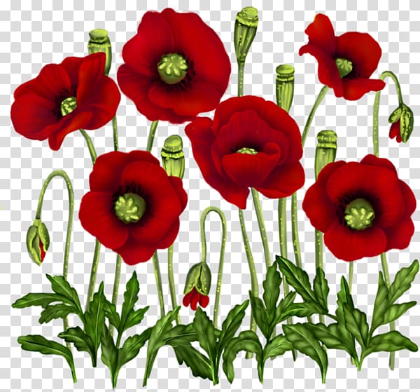 Poppy Vase with Red Poppies Flower Painting, flower transparent background PNG clipart