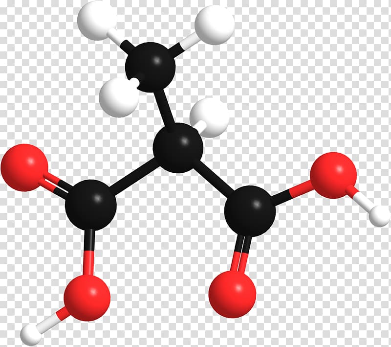 1-Pentene Methylmalonic acid Wikimedia Commons Information, 3d model transparent background PNG clipart